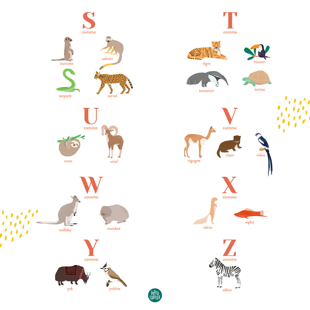 Affiche enfant prénom personnalisé animaux du monde, poster déco unique Papier curieux, serpent, tigre, zèbre