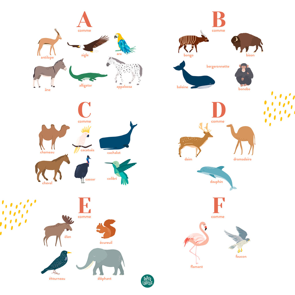 Affiche enfant prénom personnalisé animaux du monde, poster déco unique Papier curieux, éléphant, cheval, dauphin