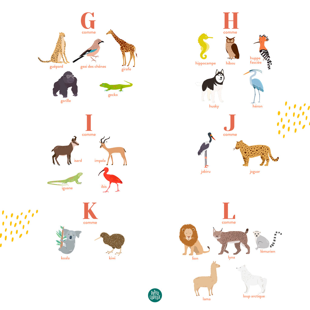 Affiche enfant prénom personnalisé animaux du monde, poster déco unique Papier curieux, koala, lion, loup