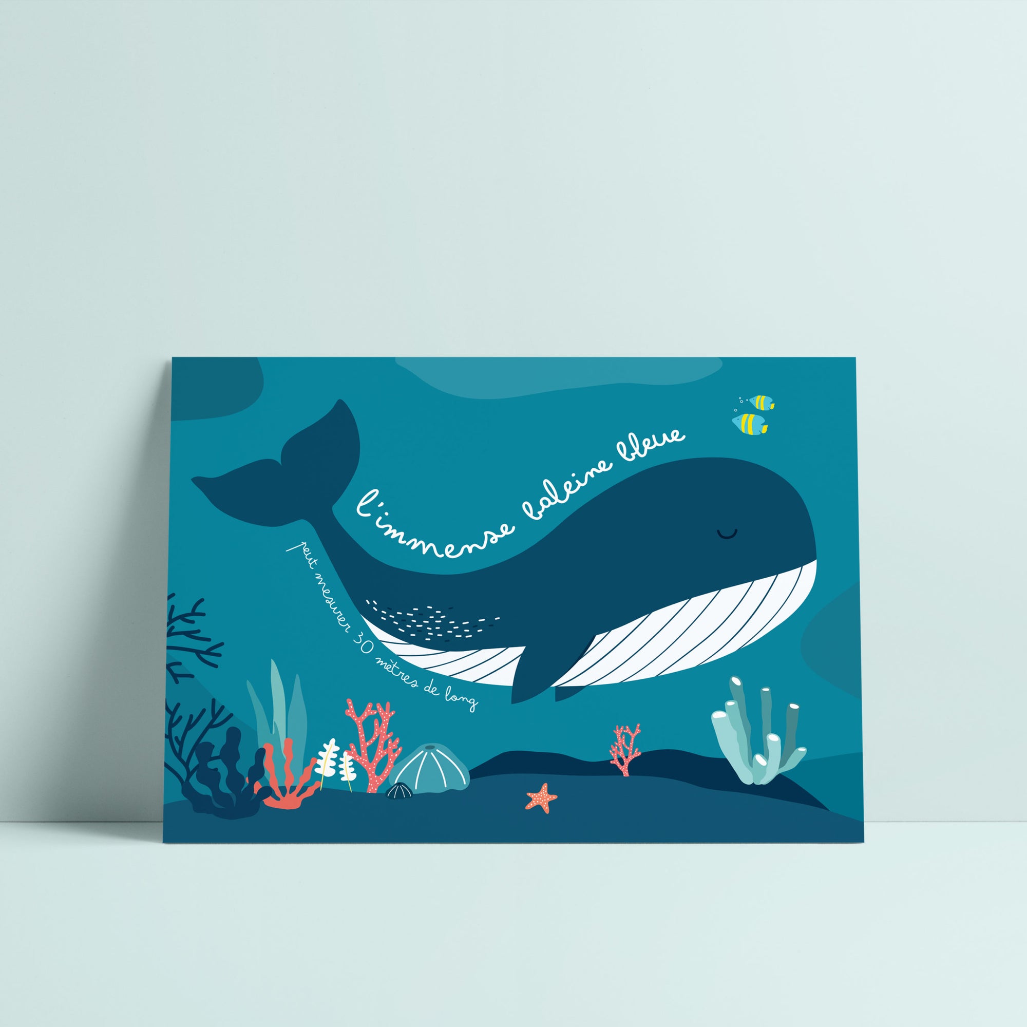Carte postale baleine, illustration pédagogique, déco chambre enfant