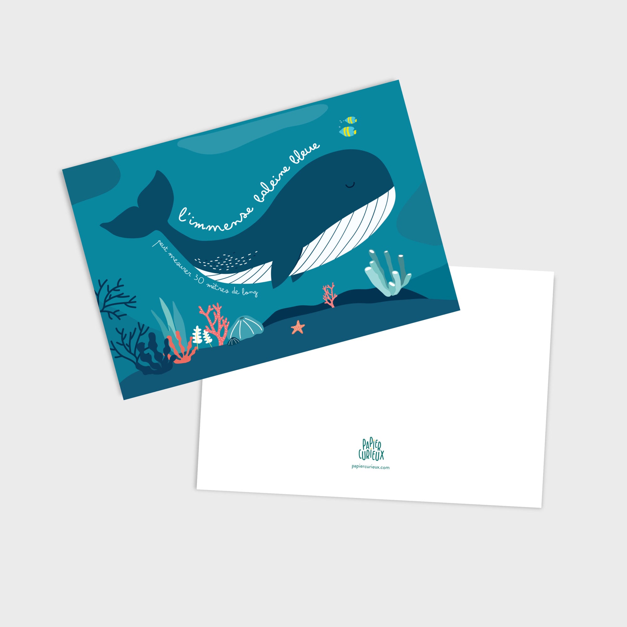 Carte postale baleine, illustration pédagogique, déco chambre enfant