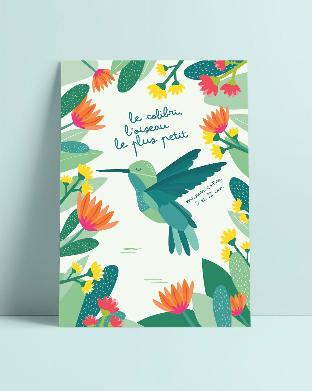 Carte postale colibri, illustration pédagogique, déco chambre enfant
