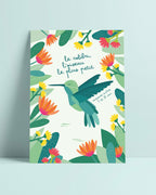 Carte postale colibri, illustration pédagogique, déco chambre enfant