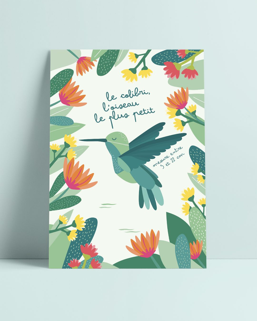 Carte postale colibri, illustration pédagogique, déco chambre enfant