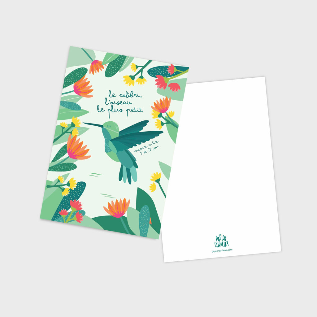 Carte postale colibri, illustration pédagogique, déco chambre enfant