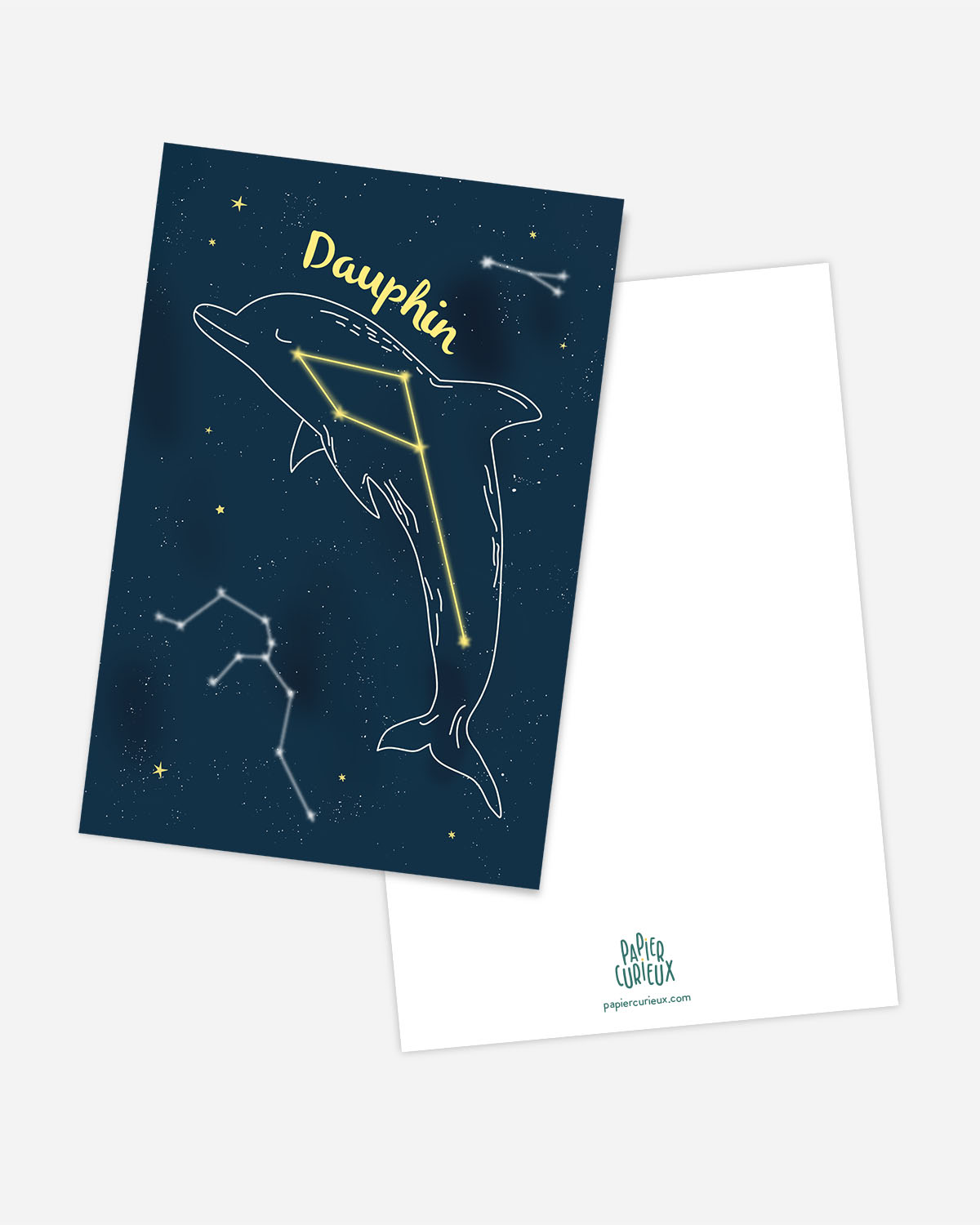 Carte postale constellation Dauphin étoiles ciel