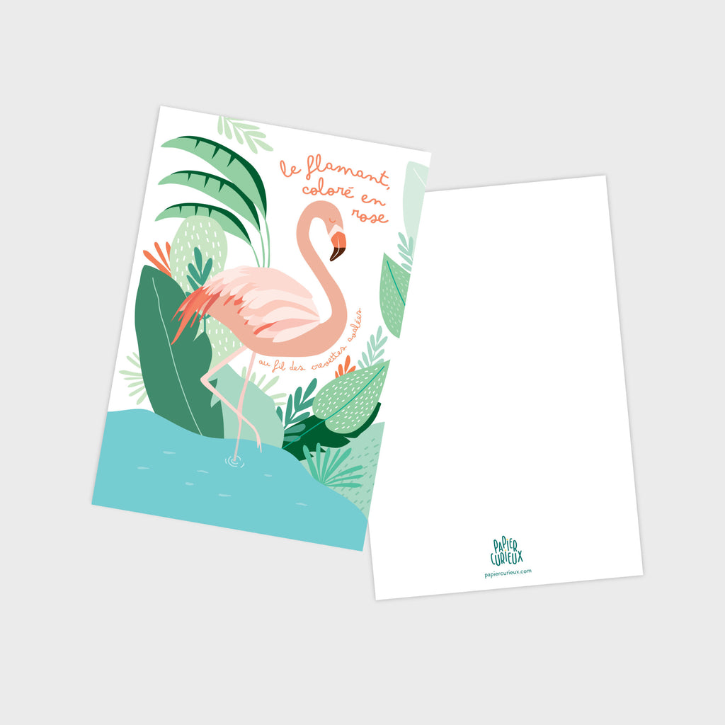 Carte postale flamant rose, illustration pédagogique, déco chambre enfant