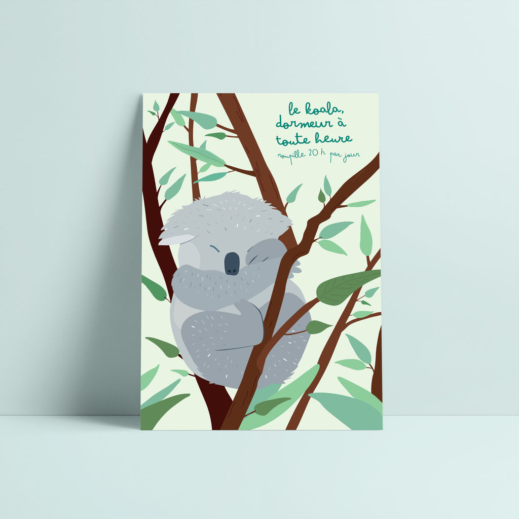 Carte postale koala, illustration pédagogique, déco chambre enfant