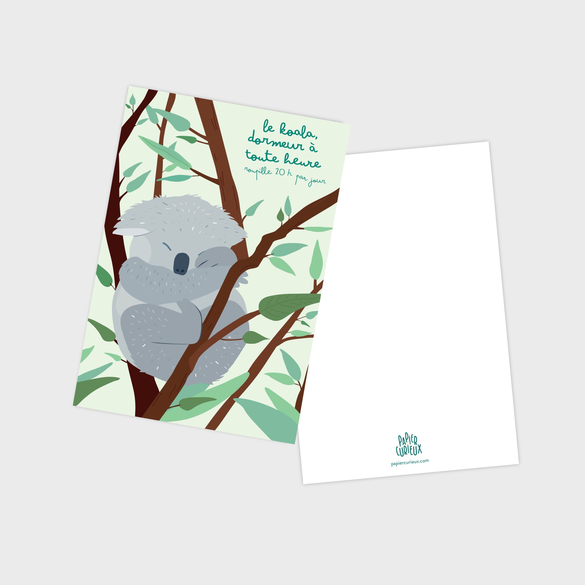 Carte postale koala, illustration pédagogique, déco chambre enfant