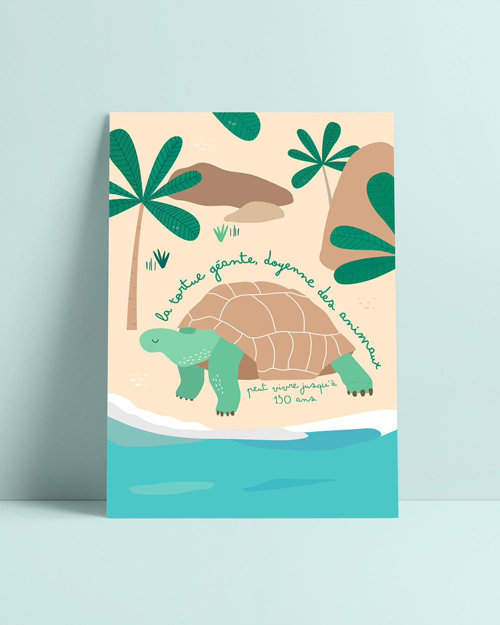 Carte postale tortue, illustration pédagogique, déco chambre enfant