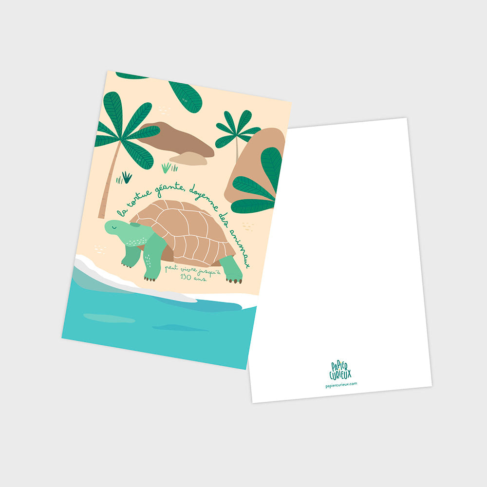 Carte postale tortue, illustration pédagogique, déco chambre enfant