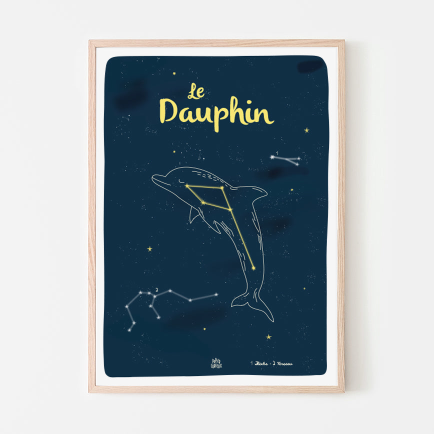 Affiche étoiles déco chambre enfant, constellation du Dauphin, déco ludique Papier curieux