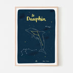 Affiche étoiles déco chambre enfant, constellation du Dauphin, déco ludique Papier curieux