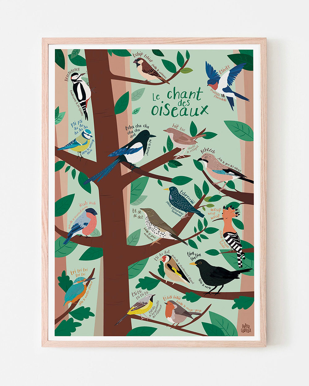 Affiche déco Le Chant des Oiseaux, poster illustré pédagogique, affiche nature jardin bois