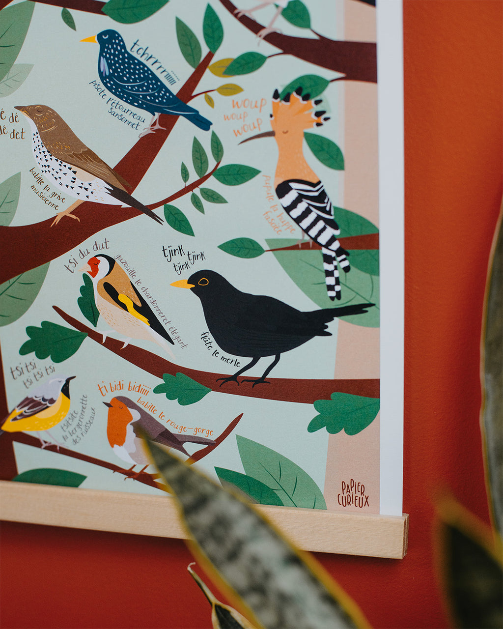 Affiche déco Le Chant des Oiseaux, poster illustré pédagogique, affiche nature jardin bois