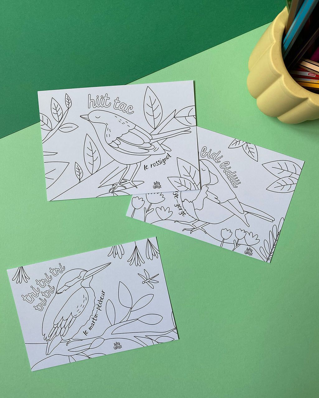 Cartes coloriage enfant le chant des oiseaux, illustration rossignol, rouge-gorge