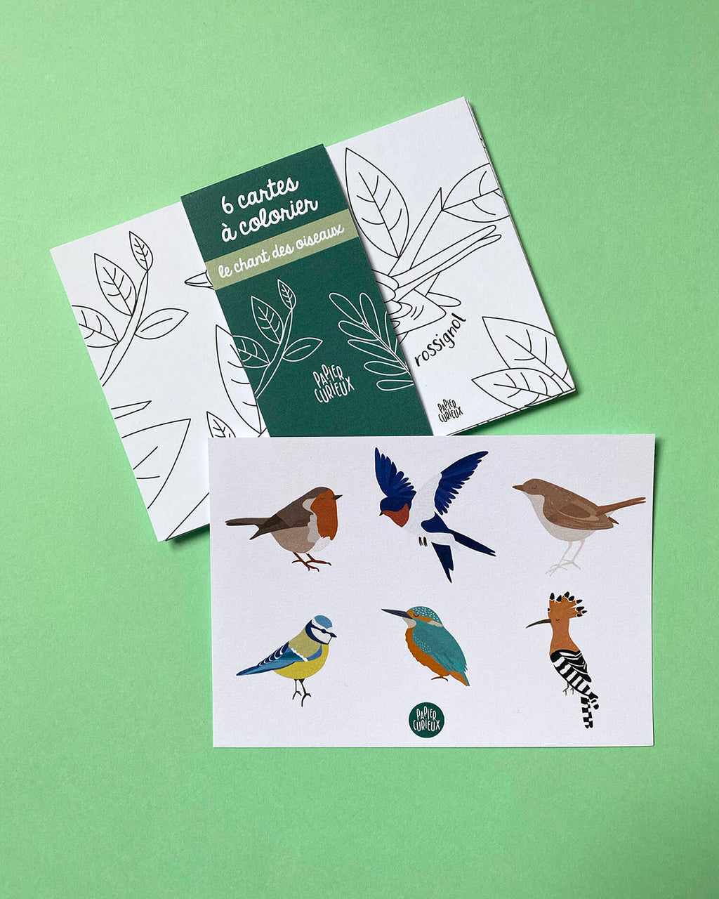 Cartes coloriage enfant le chant des oiseaux, illustration rossignol, hirondelle, mésange