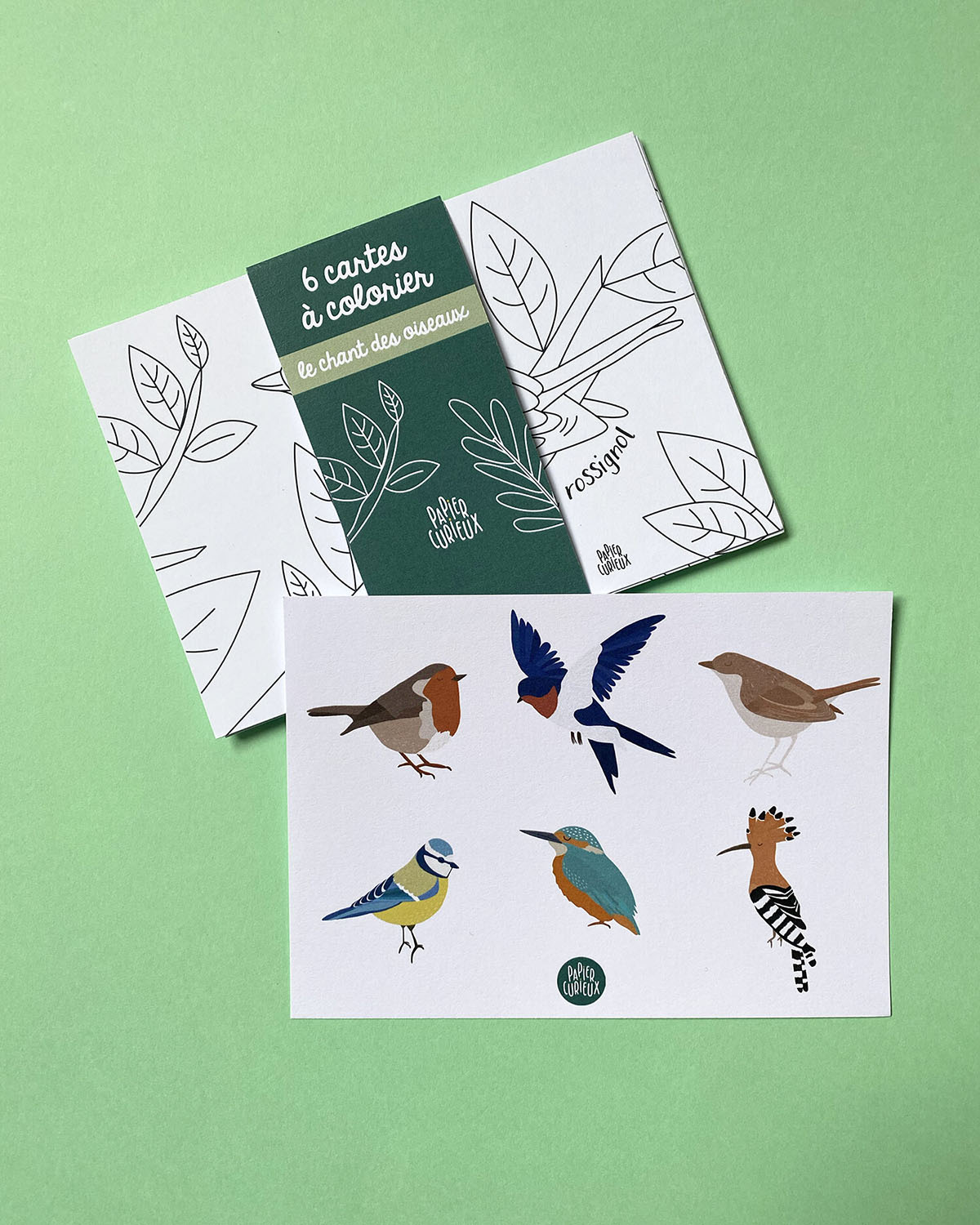 Cartes coloriage enfant le chant des oiseaux, illustration rossignol, hirondelle, mésange