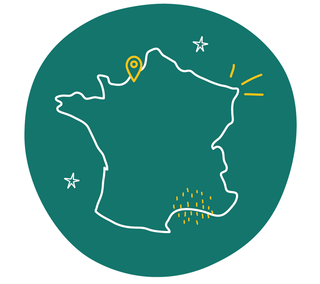 picto fait in france