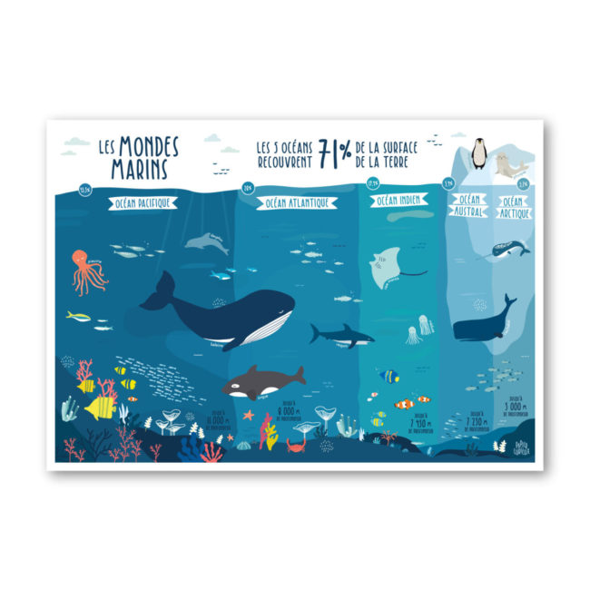Affiche illustration enfant océans mer pacifique atlantique indien arctique austral