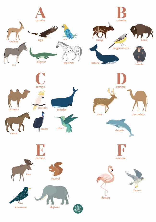 affiche personnalisée naissance prénom animaux