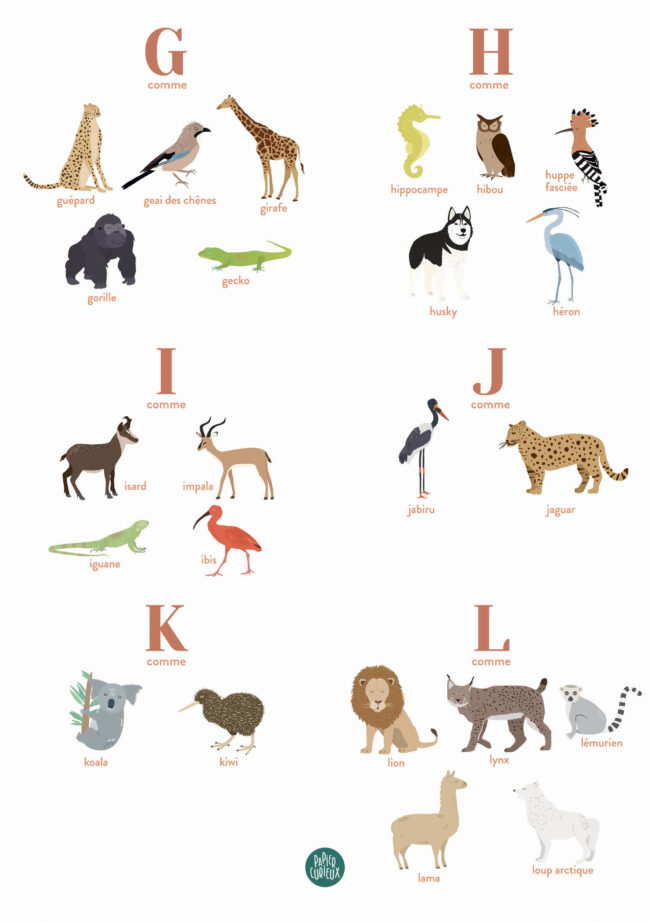 affiche personnalisée abécédaire animaux papier curieux naissance