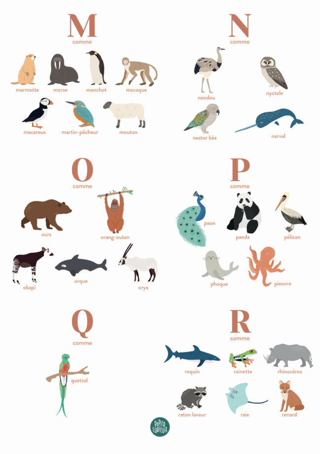 affiche personnalisée prénom animaux papier curieux naissance
