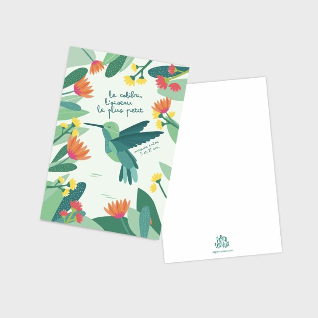 carte postale colibri papier curieux