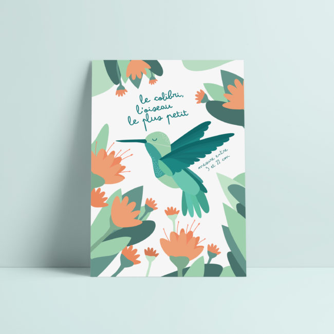 carte postale colibri oiseau illustration enfant