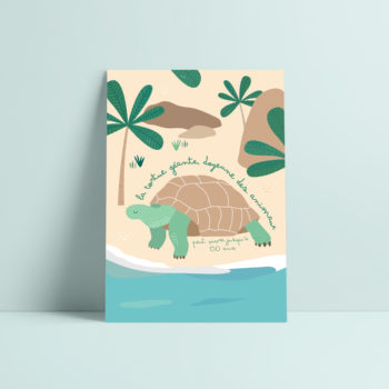 carte postale tortue illustration enfant