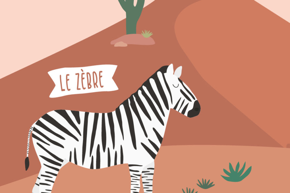 illustration zebre