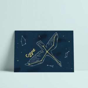 carte postale cygne constellation enfant illustration enfant