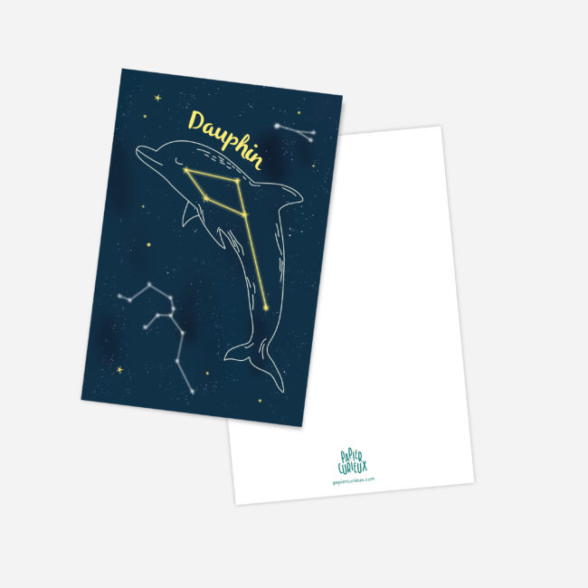 carte postale dauphin constellation étoile enfant