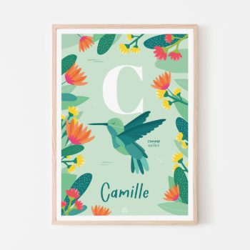 Affiche personnalisée bébé naissance prénom initiale colibri C