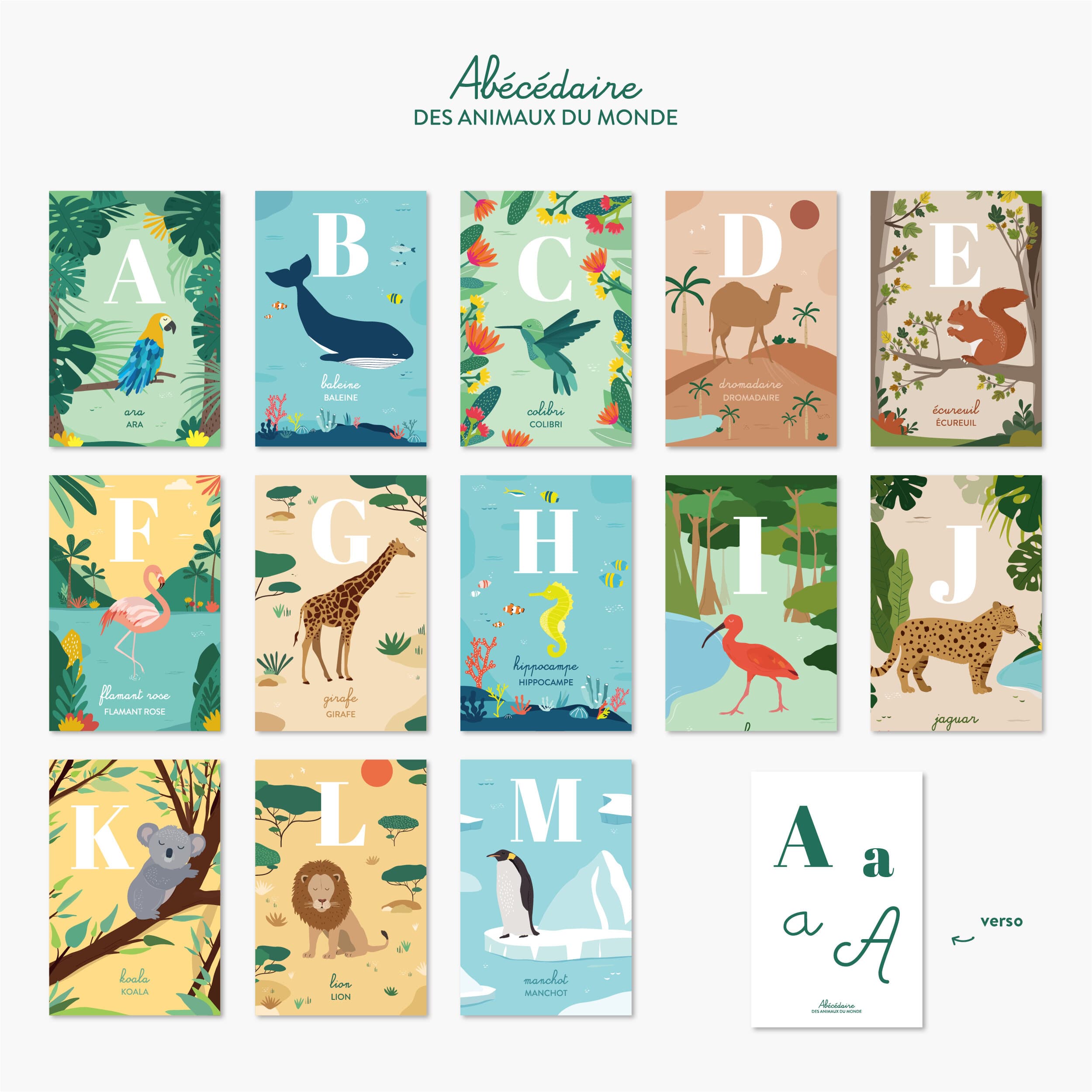 Cartes alphabet animaux - Papier curieux
