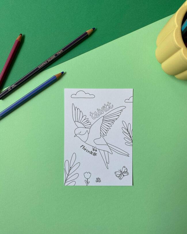cartes à colorier oiseaux hirondelle enfant coloriage papier curieux