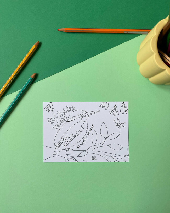 cartes à colorier oiseaux martin-pêcheur enfant coloriage papier curieux