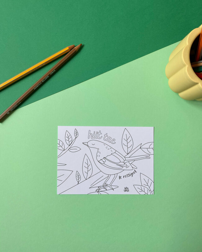 cartes à colorier oiseaux moineau enfant coloriage papier curieux