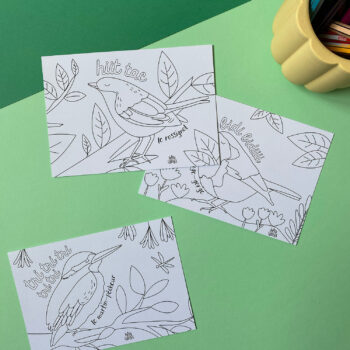 cartes postales a colorier oiseaux enfant coloriage papier curieux